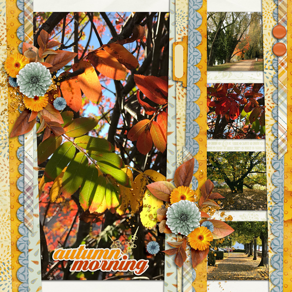 Autumn Morning