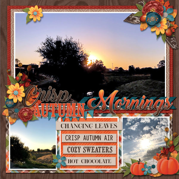 Autumn mornings