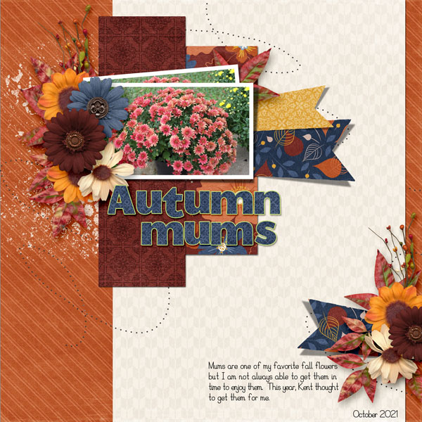 Autumn Mums