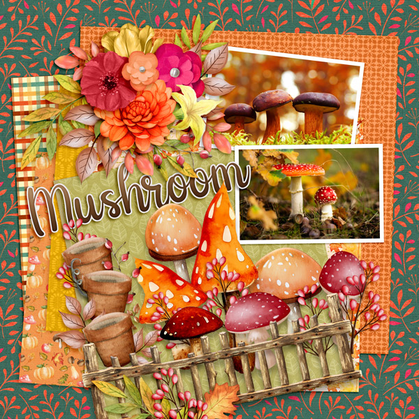 Autumn Mushrooms - Nov DD 2023