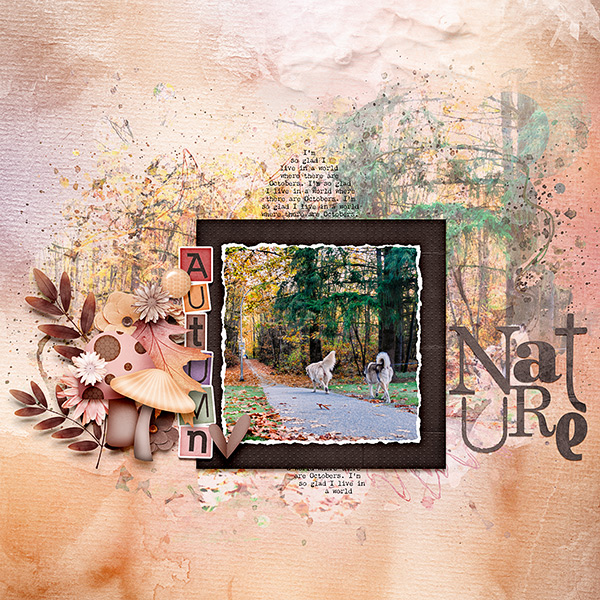 Autumn Nature