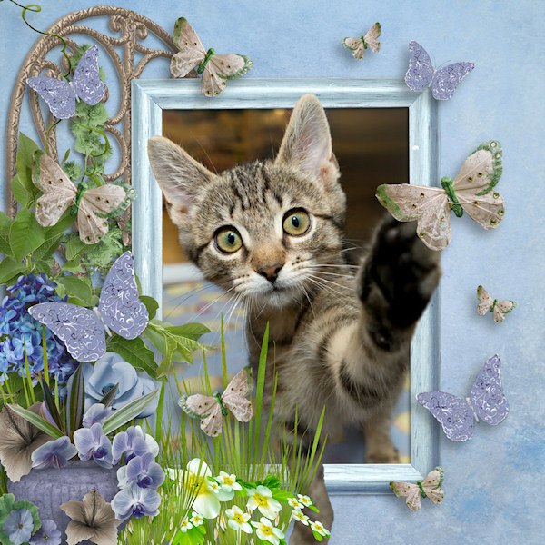 Autumn Needs a Home