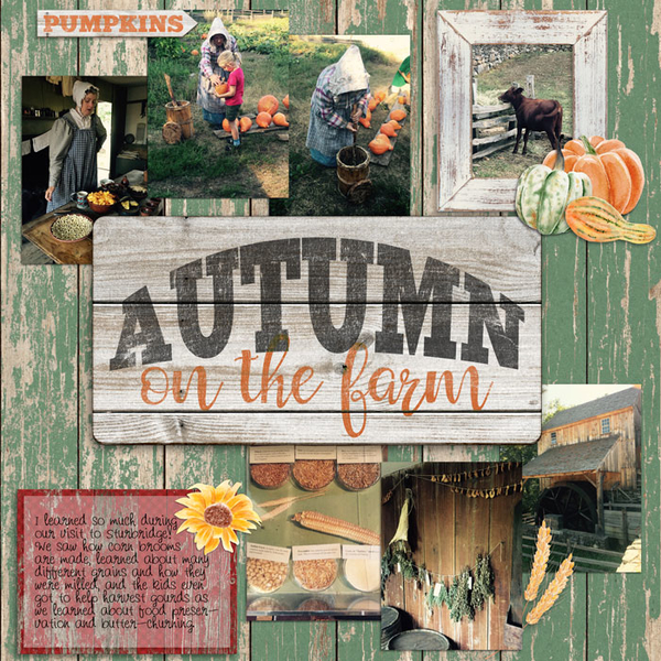 Autumn on the Farm