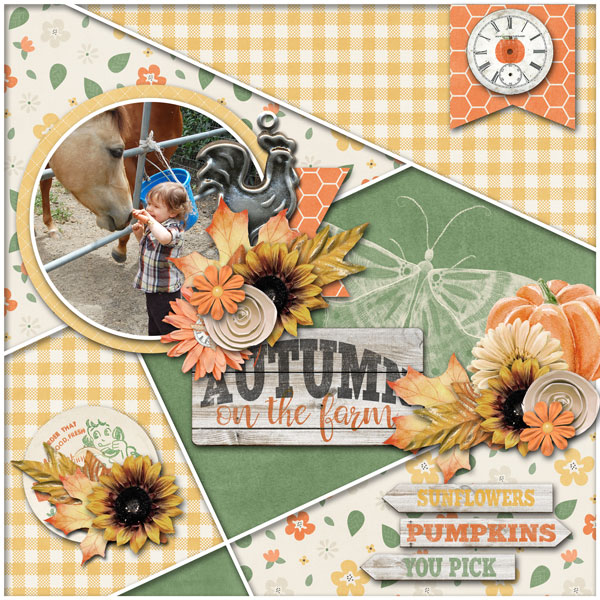 Autumn On The Farm