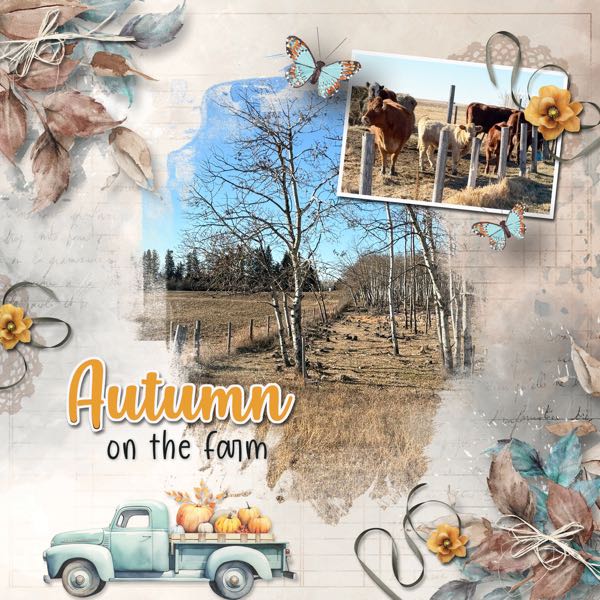 Autumn on the Farm