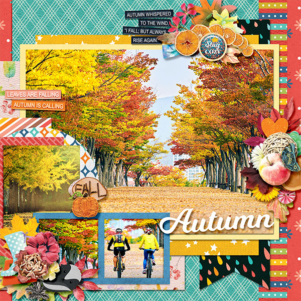Autumn on the park