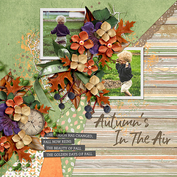 Autumn on the Way