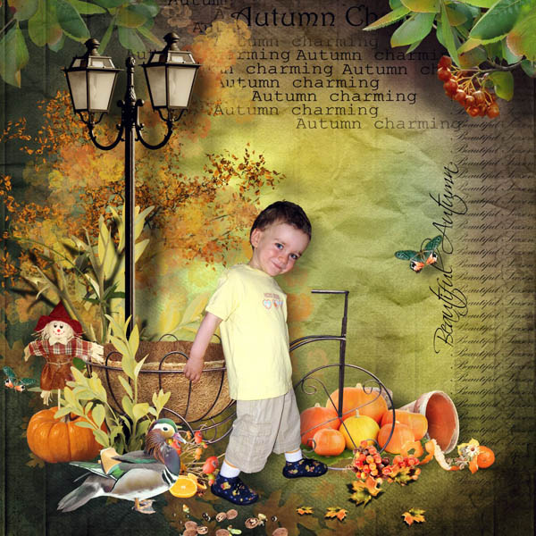 Autumn path
