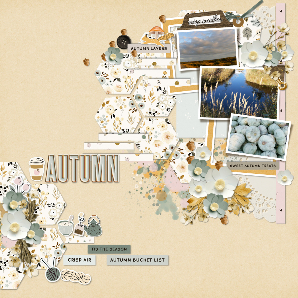 Autumn pictures