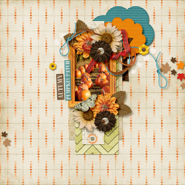 Autumn Pumpkin Patch