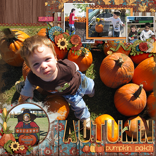 Autumn Pumpkin Patch