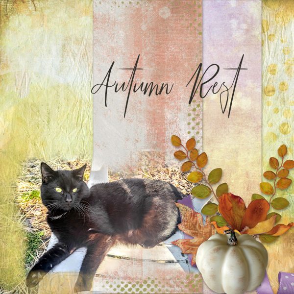 Autumn Rest
