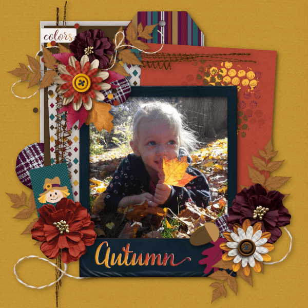 Autumn Rose