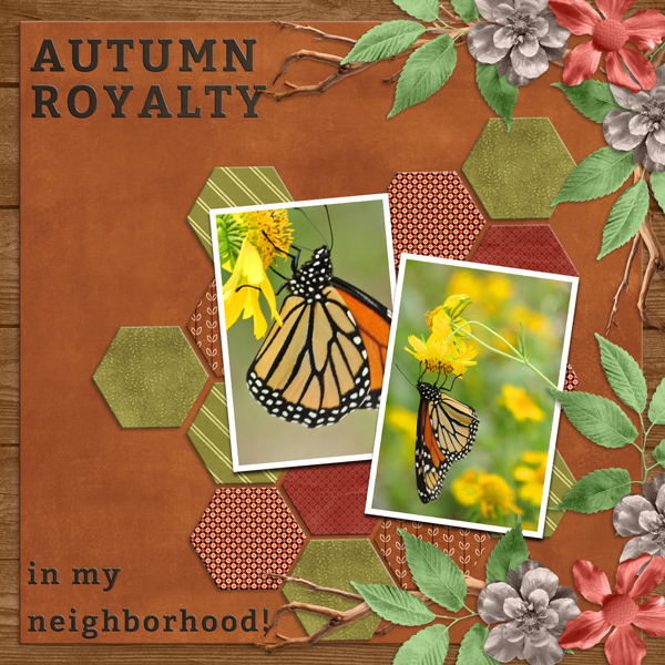 AUTUMN ROYALTY in my neighborhood!
