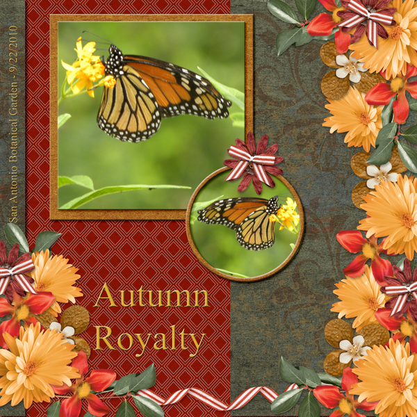 Autumn Royalty