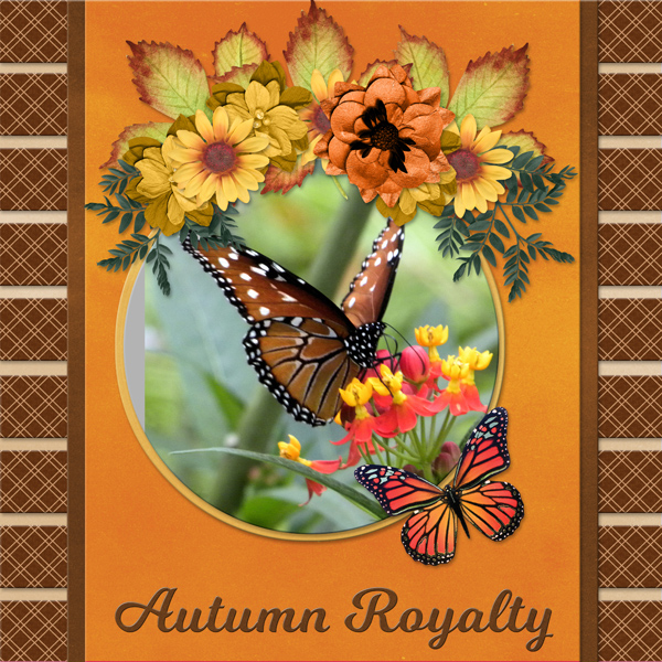 Autumn Royalty