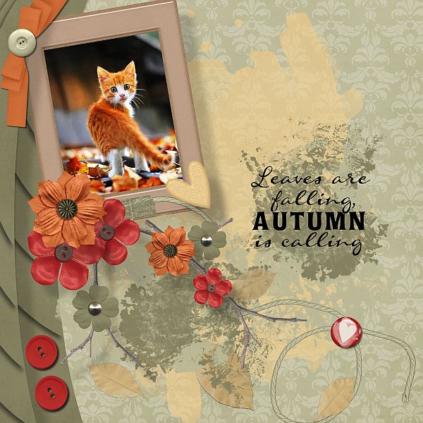 Autumn`s calling...