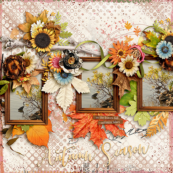 Autumn Season