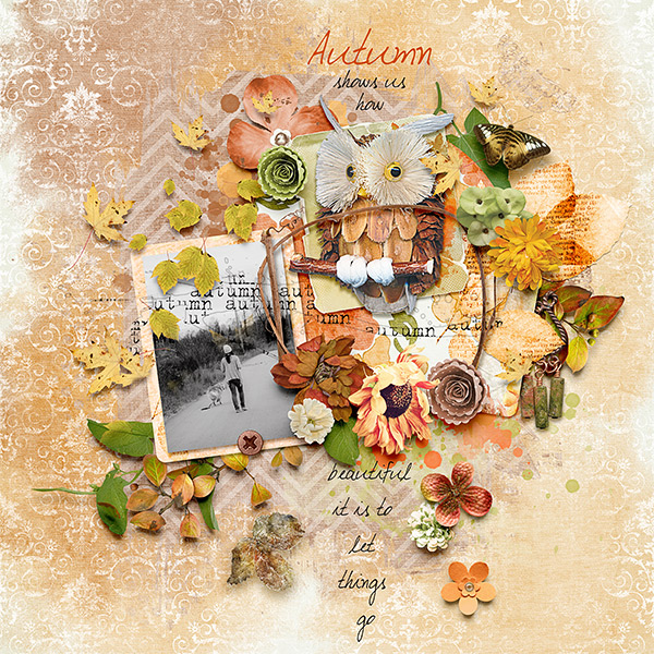 Autumn Shows Us