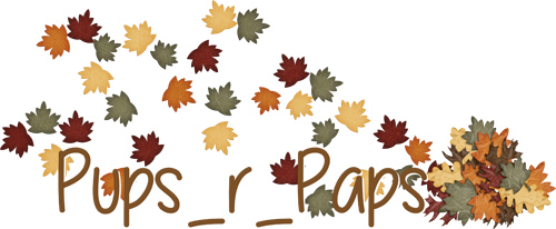 Autumn Siggy