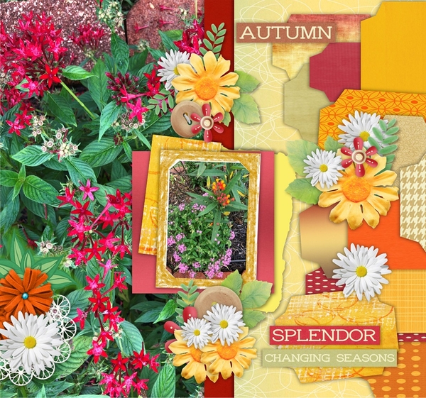 Autumn Slendor