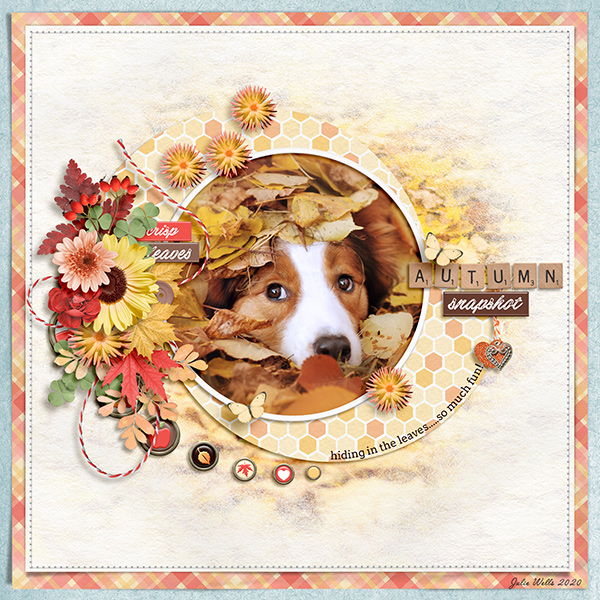 autumn snapshot