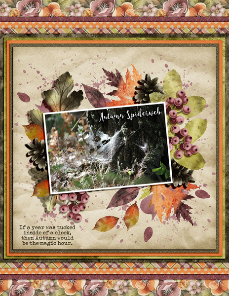 AUTUMN SPIDERWEB
