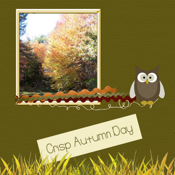 Autumn Splender 1