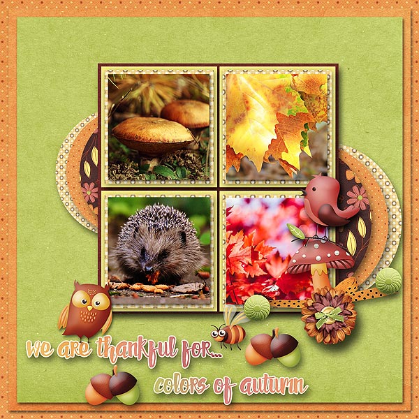 Autumn Splendor
