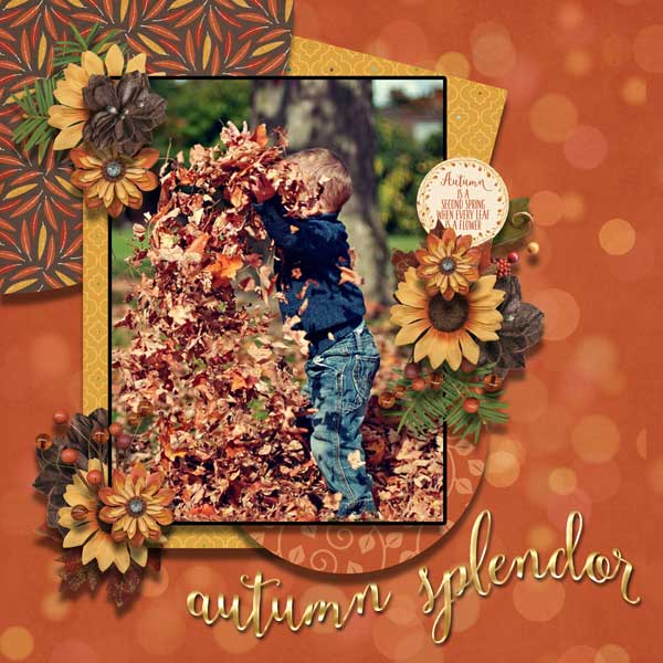 Autumn Splendor