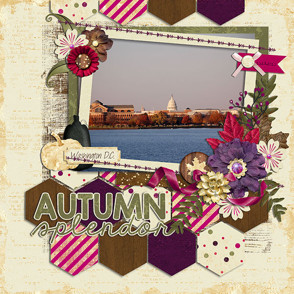 autumn splendor