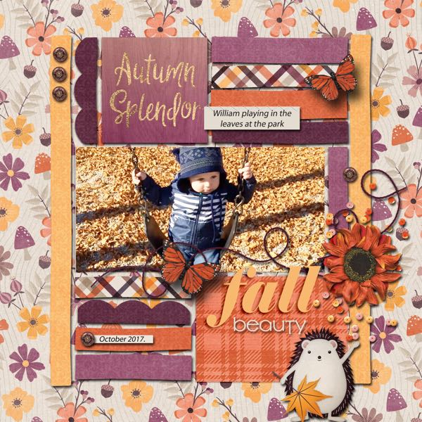 Autumn Splendor