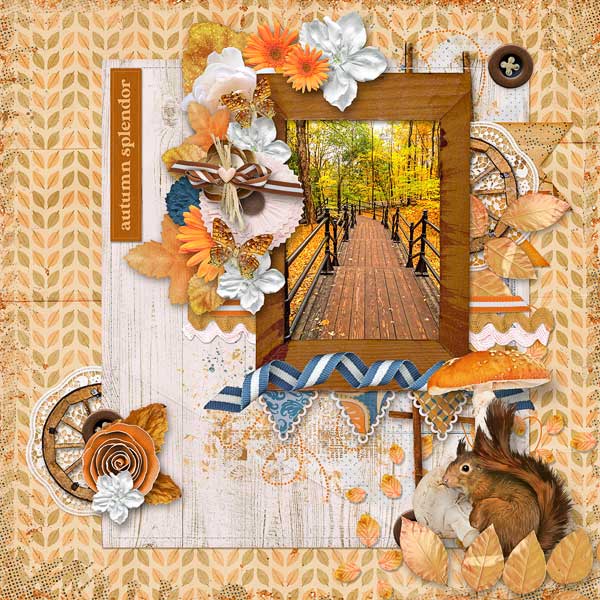 Autumn Splendor