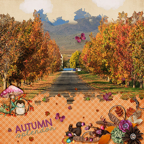 Autumn Splendor