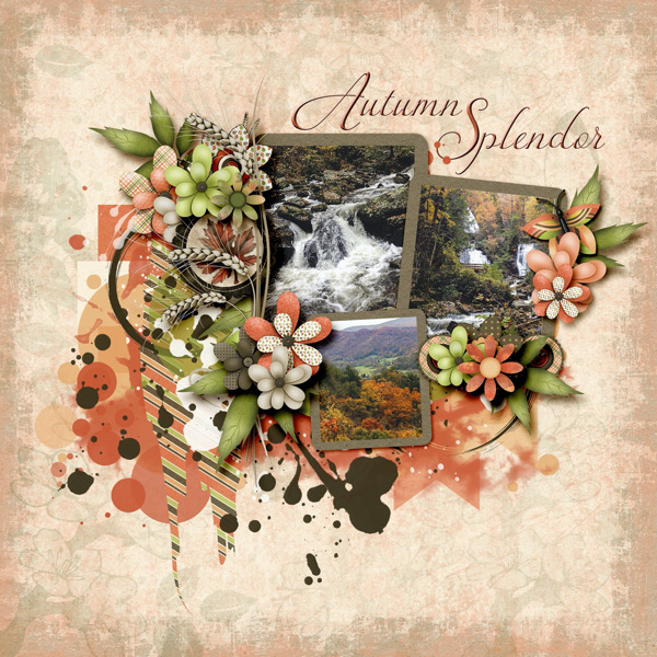 Autumn Splendor