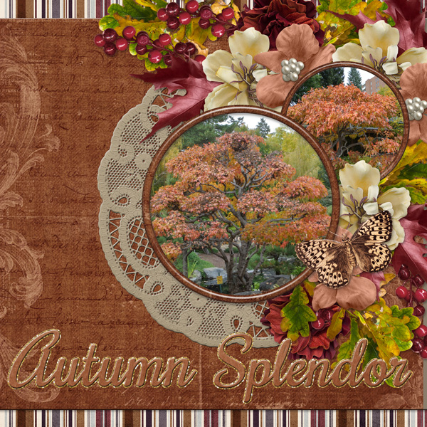 Autumn Splendor