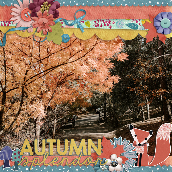 autumn splendor