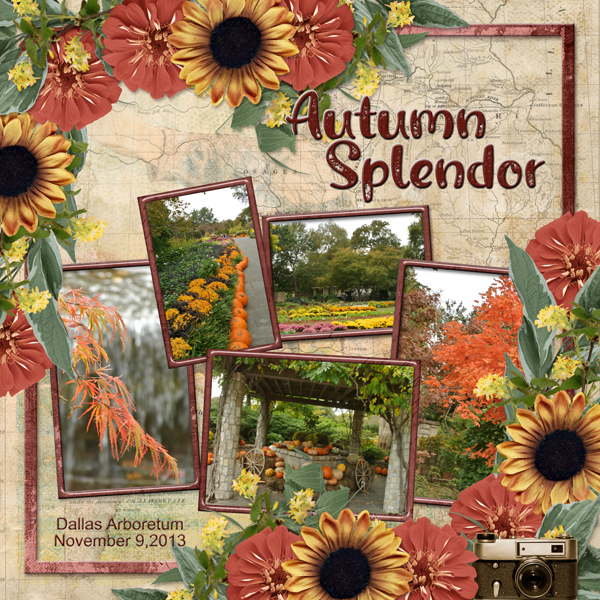 Autumn Splendor
