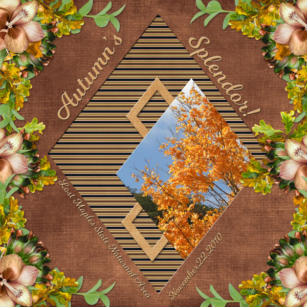 Autumn Splendor
