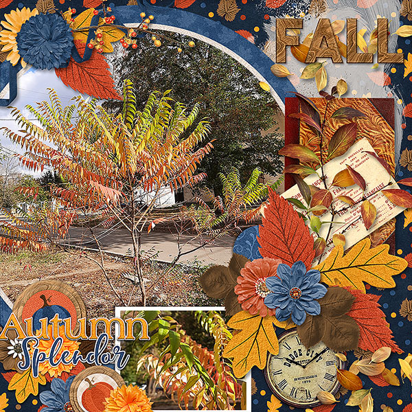 Autumn Splendor