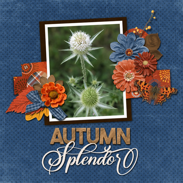 Autumn Splendor