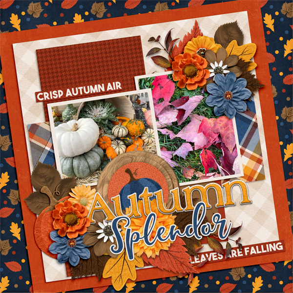Autumn Splendor