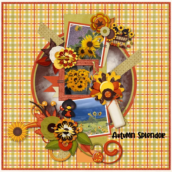 Autumn Splendor