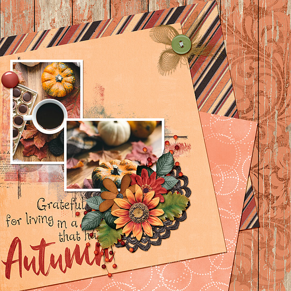 Autumn Splendor