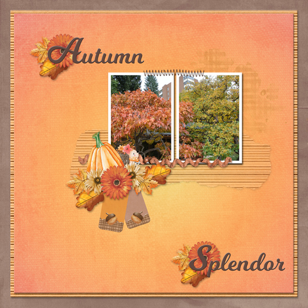 Autumn Splendor