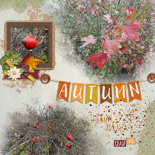 Autumn Splendor