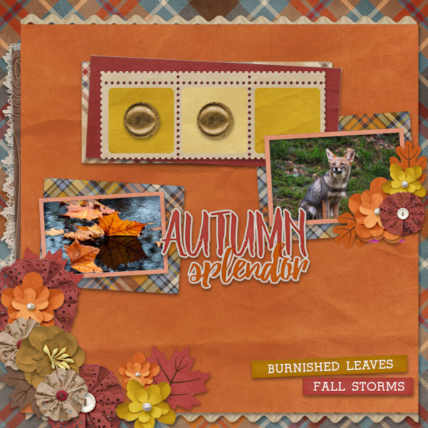 Autumn Splendor