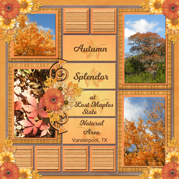 Autumn Splendor