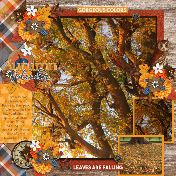 Autumn Splendor