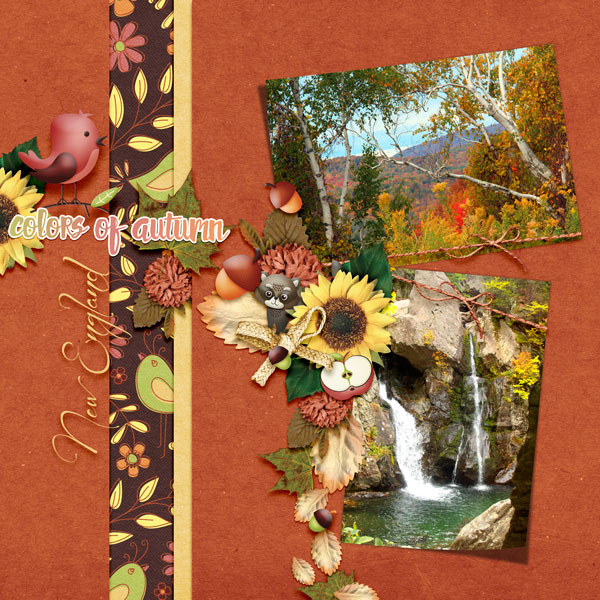Autumn-Splendor1
